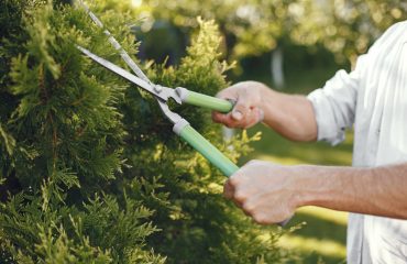 Man trimming bough of brush. Guy works in a backyard.
